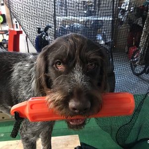 Meet your Posher, Jared